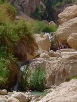 Ein Gedi